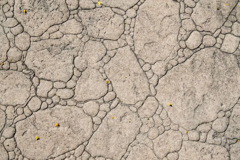 Decorative Concrete Repair in Dothan, AL